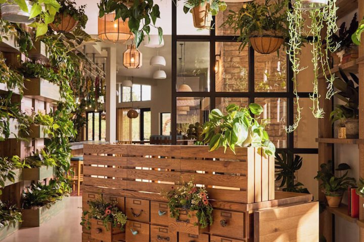 Treehouse Hotel Silicon Valley