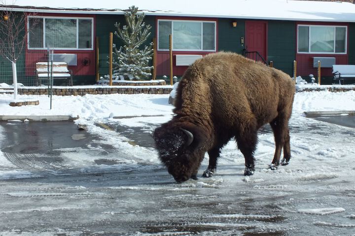 Yellowstone Gateway Inn