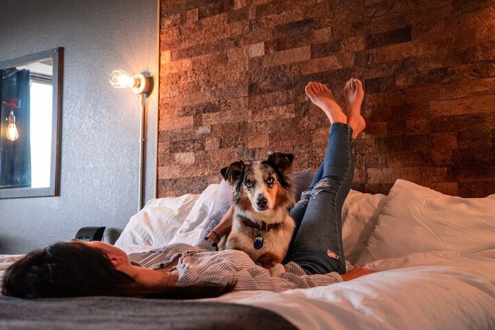 Pet Friendly 144 of 147