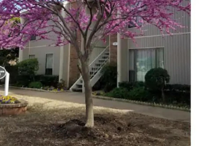 Hotel 5 of 25