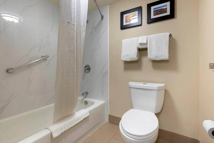 Comfort Inn Binghamton I-81