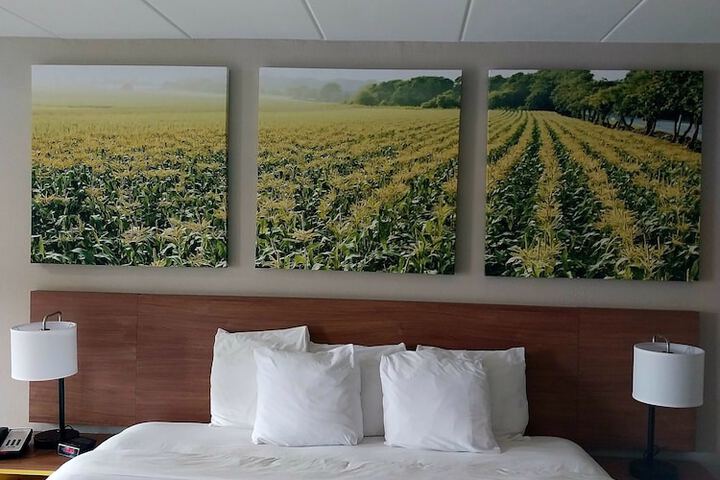 Room 9 of 12