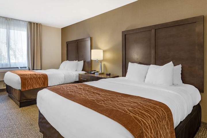 Comfort Inn Williamsport