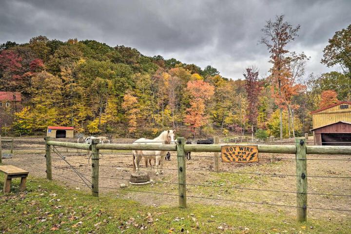 ‘John Wayne Apartment - Deck BBQ, Horses On-Site