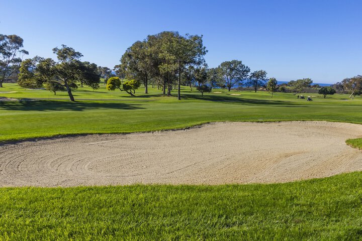 Golf 75 of 88