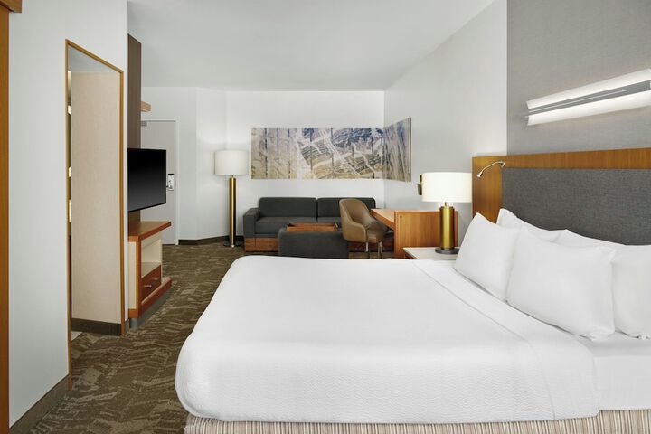 SpringHill Suites by Marriott Detroit Metro Airport Romulus
