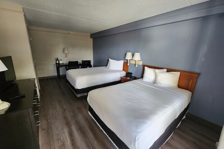 Room 38 of 40
