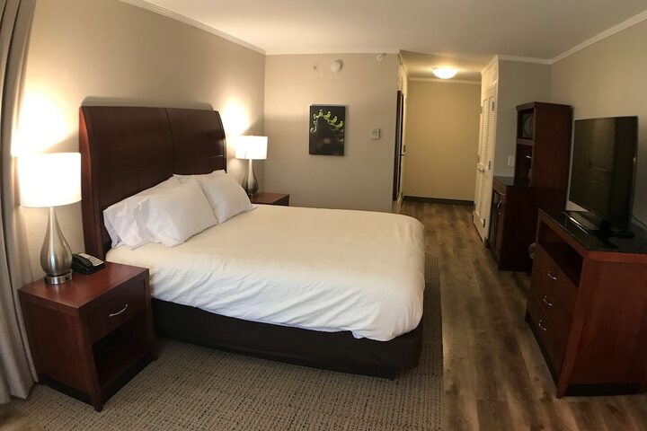Room 59 of 85