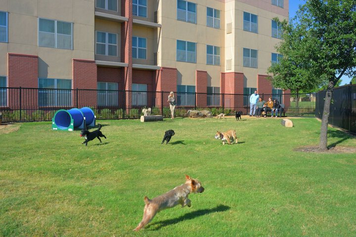 Residence Inn by Marriott Dallas Plano / The Colony