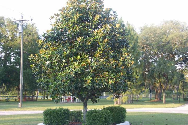 Deerwood Inn and Madison Campground