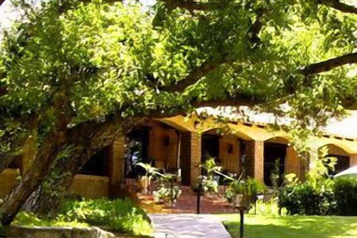 Vineyard Hacienda