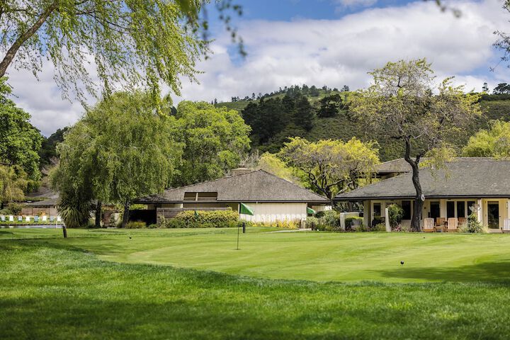 The Quail
