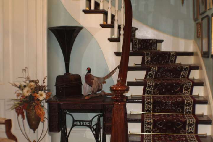 Hotel 4 of 41