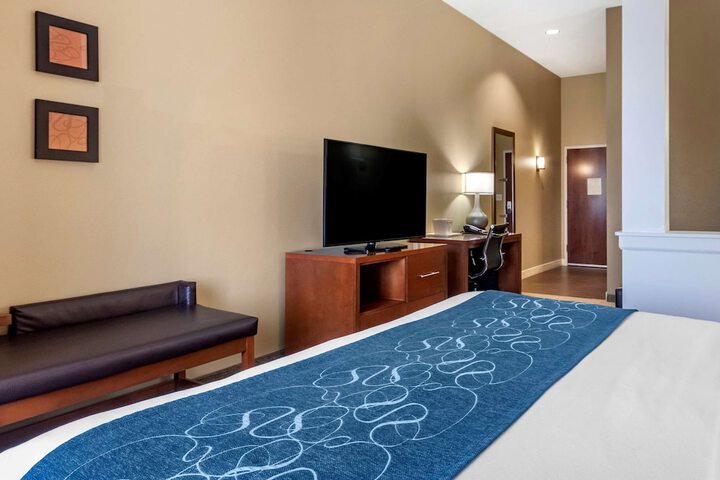 Comfort Suites Airport - University