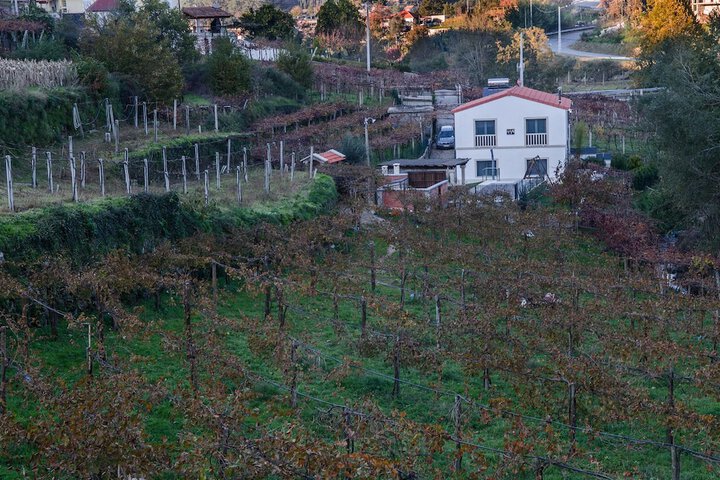 Casa da Cevidade