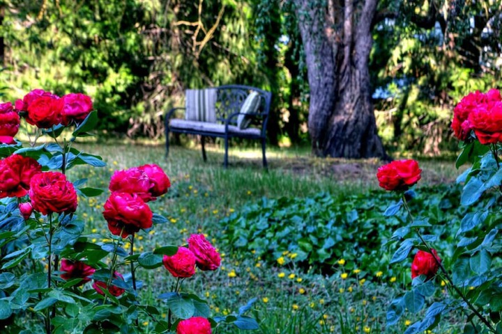 Property Grounds 24 of 28