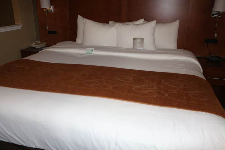 Comfort Suites New Braunfels - San Antonio Area