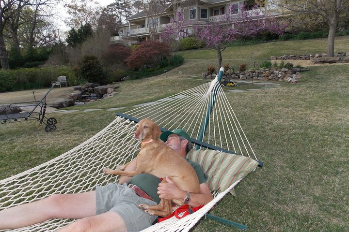 Pet Friendly 71 of 72
