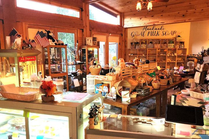 Gift Shop 77 of 96