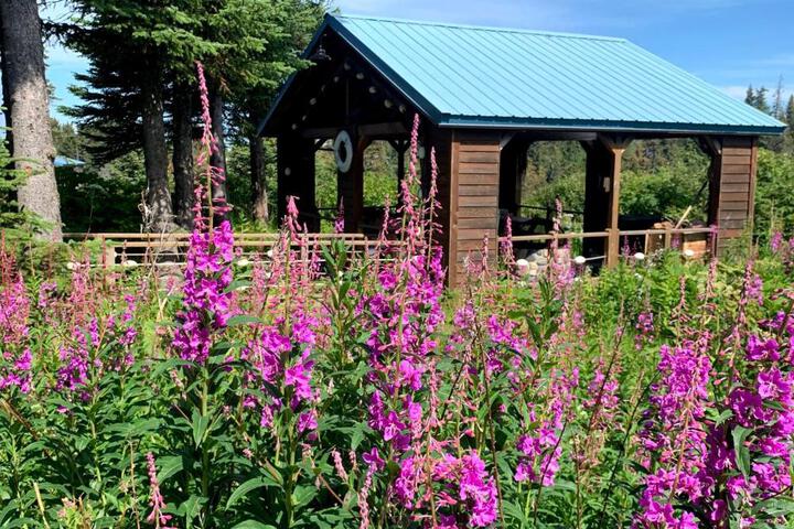 Lost Anchor Cabins - Ocean-view cabins on the bluff