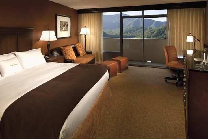 The Park Vista - a DoubleTree by Hilton Hotel - Gatlinburg