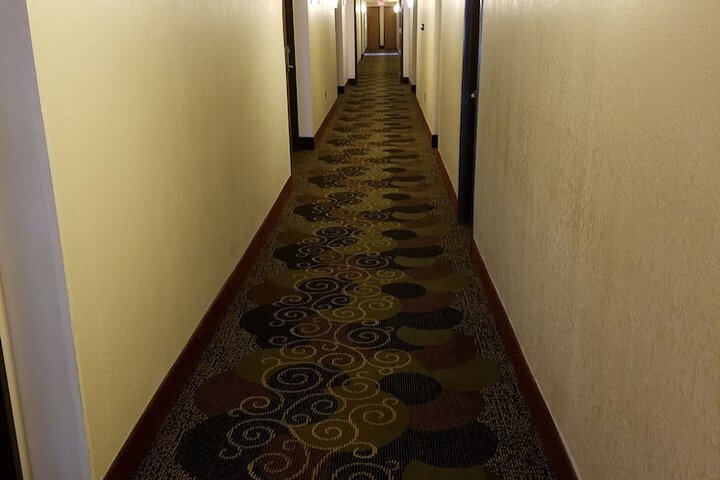 Ballroom/Hall 25 of 26