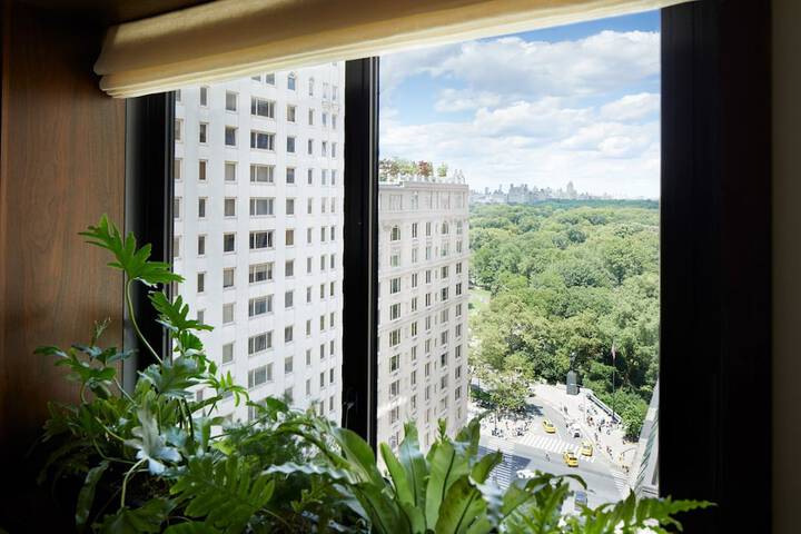 1 Hotel Central Park