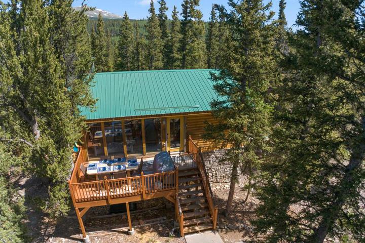 Relaxing Alpine Oasis - Minutes from Breckenridge