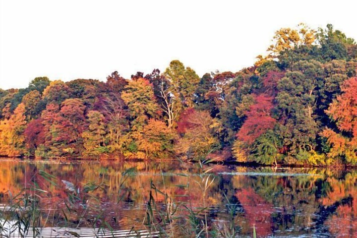 Miller-Dunham House Bed & Breakfast