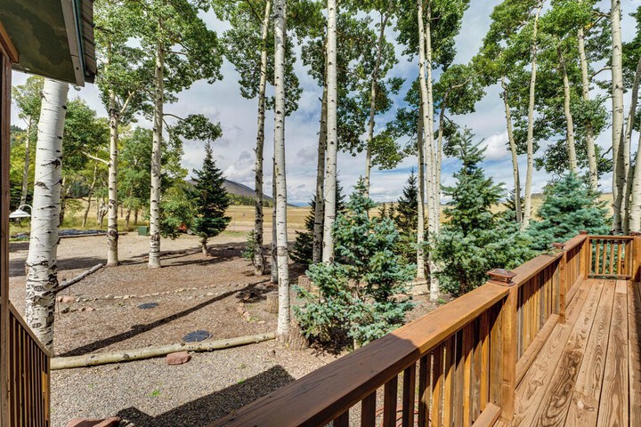 Mountain Views: Cabin in Fort Garland Near Hiking