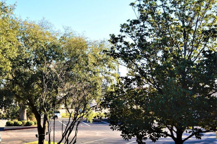 Property Grounds 29 of 40