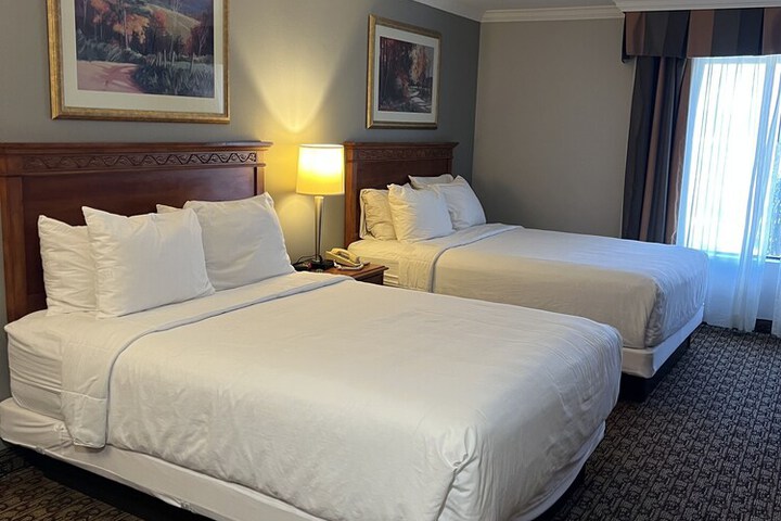 Hotel Xola