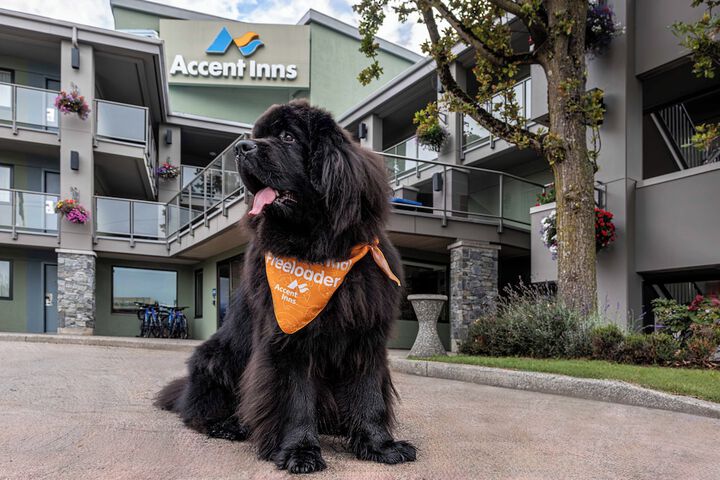 Accent Inns Kamloops