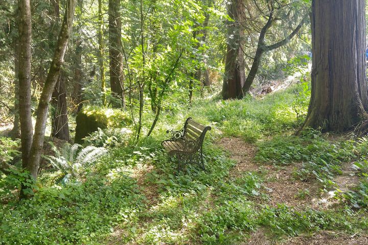 Property Grounds 23 of 24
