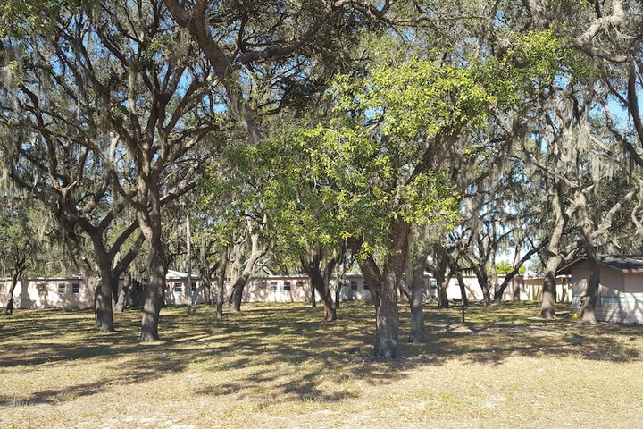Property Grounds 23 of 25