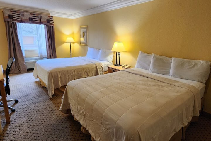 Room 15 of 24