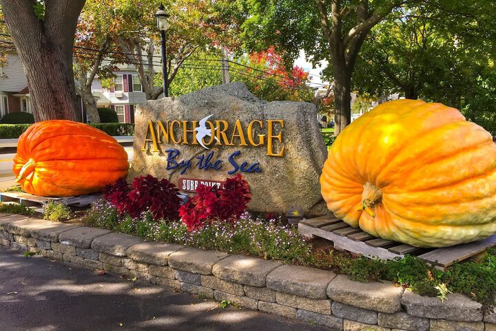 Anchorage by the Sea