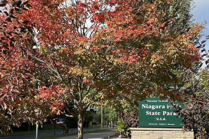 Cambria Hotel Niagara Falls