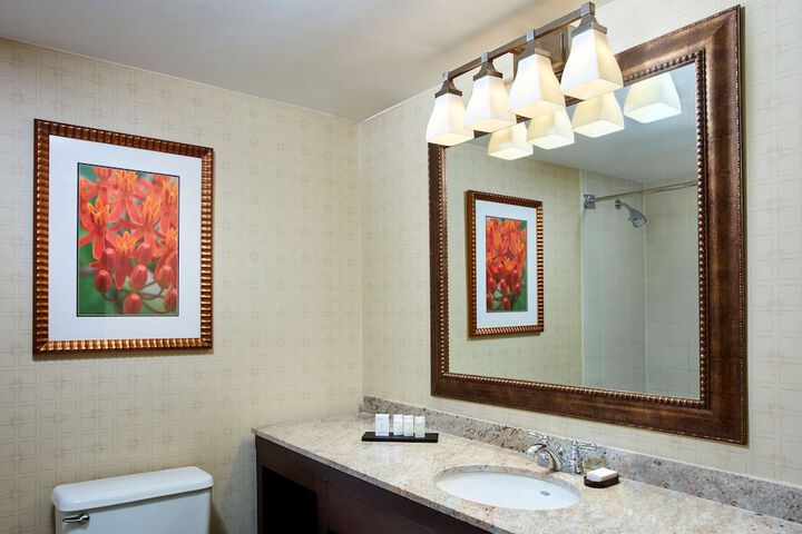Embassy Suites by Hilton Parsippany
