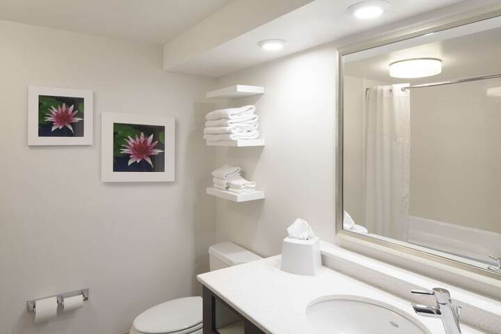 Hampton Inn Charleston-Southridge