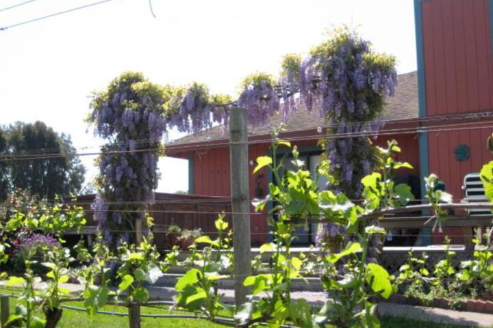 Pearlessence Vineyard Inn