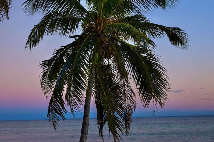 Margaritaville Beach House Key West