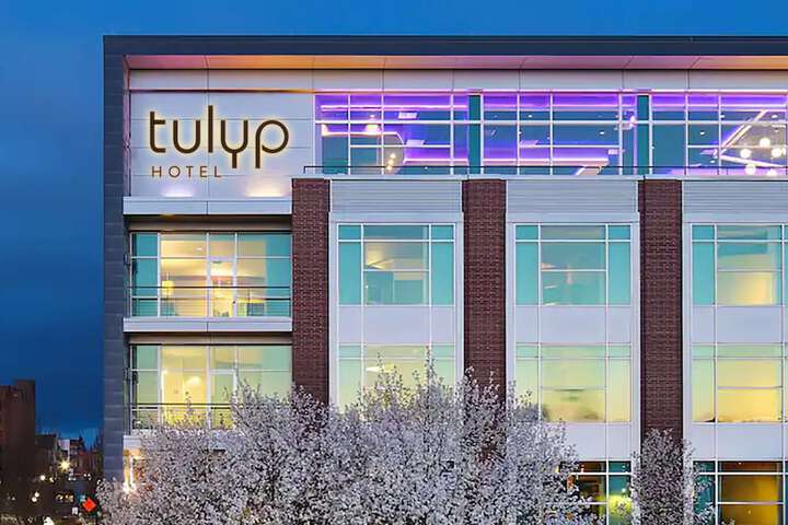 Tulyp Tapestry Collection by Hilton