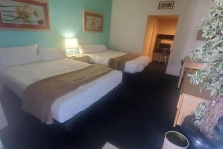 Room 43 of 67