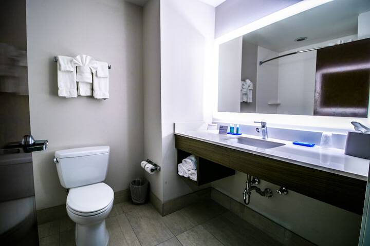 Holiday Inn Express Hotel & Suites a Baton Rouge-Port Allen by IHG