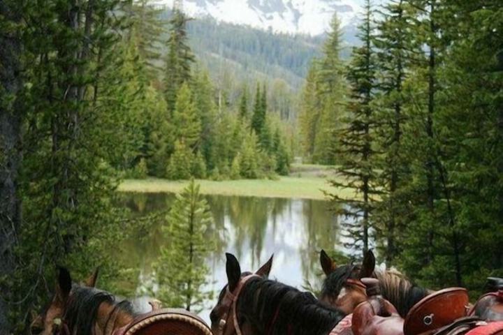 Fish Creek House Bed & Breakfast