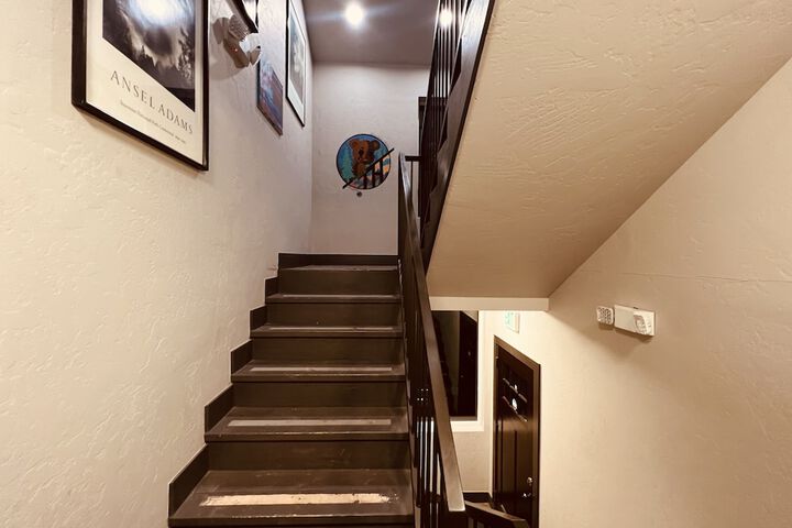 Treeline Hostel