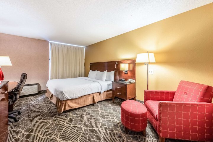 Room 19 of 52