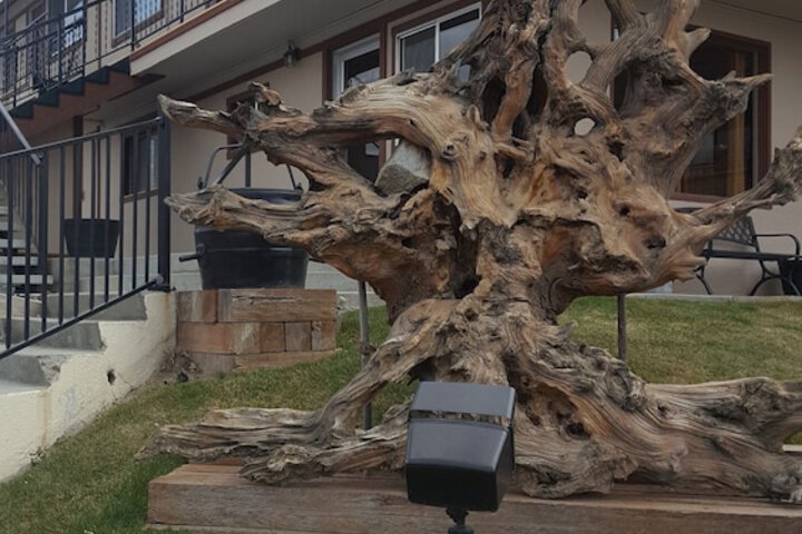 Bristlecone Motel
