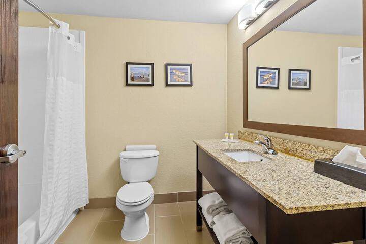 Comfort Suites Lake Jackson Clute